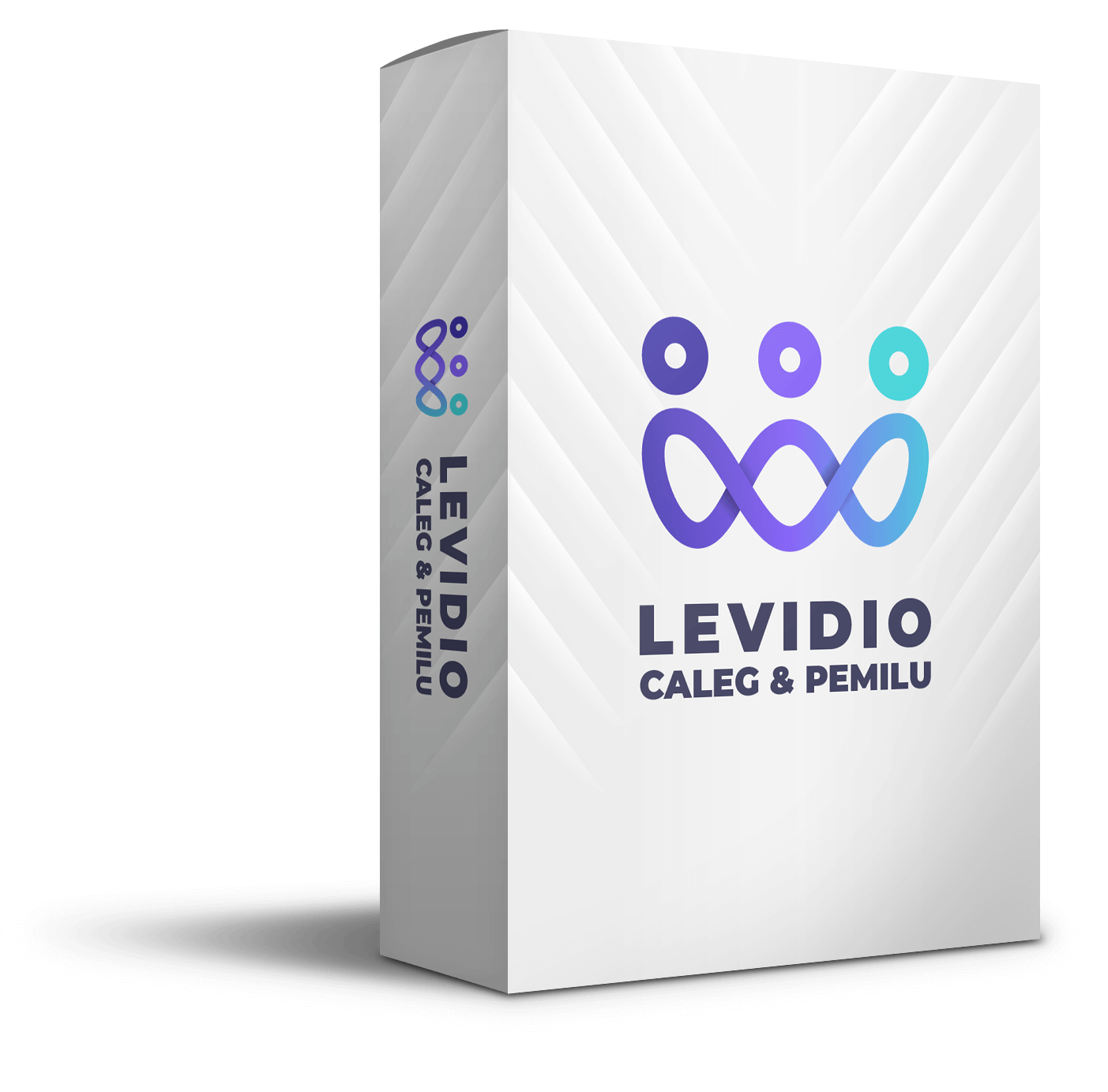 Levidio Caleg & Pemilu 2024 – Sukseskan Kampanye dan Tingkatkan